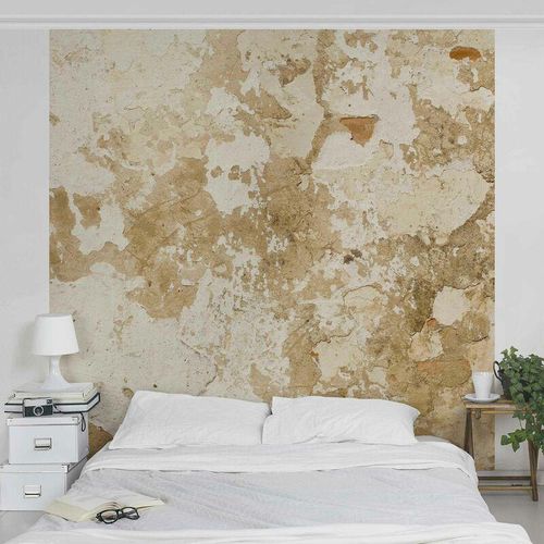 4066332600826 - Fototapete - Shabby Wand in Beige Größe HxB 192cm x 192cm Material Vlies Smart