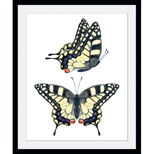 4049009846918 - Bild QUEENCE Emily Bilder Gr B H 40 cm x 50 cm Wandbild Schmetterlinge Hochformat 1 St beige (natur) Bild Kunstdruck Bilder mit Rahmen
