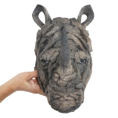 4057651574660 - Deko Schädel MCW-H41 Wanddeko Kopf Trophäe Polyresin Indoor Outdoor ~ Nashornkopf 26cm