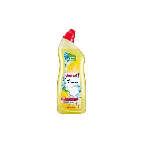 4305615596549 - domol Citrus WC-Reiniger Citrus 10 l