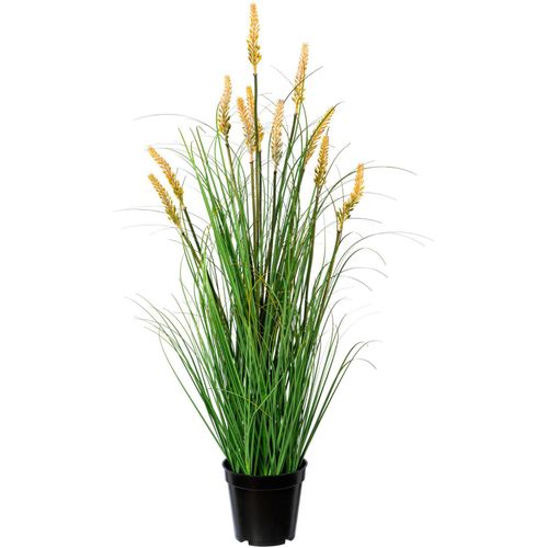 4064118137450 - Kunstgras CREATIV GREEN Grasbusch Pennisetum Kunstpflanzen Gr B H L 15 cm x 79 cm x 15 cm 1 St grün Kunst-Gräser 4064118137450 - Kunstgras CREATIV GREEN Grasbusch Pennisetum Kunstpflanzen Gr B H L 15 cm x 79 cm x 15 cm 1 St grün Kunst-Gräser