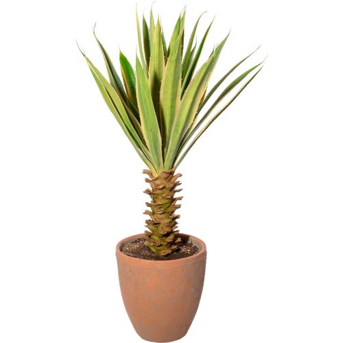 4064118138198 - Künstliche Zimmerpflanze CREATIV GREEN Yucca im Terracottatopf Kunstpflanzen Gr H 75 cm 1 St grün Künstliche Zimmerpflanzen 4064118138198 - Künstliche Zimmerpflanze CREATIV GREEN Yucca im Terracottatopf Kunstpflanzen Gr H 75 cm 1 St grün Künstliche Zimmerpflanzen