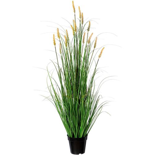 4064118137474 - Kunstgras CREATIV GREEN Grasbusch Pennisetum Kunstpflanzen Gr B H L 18 cm x 120 cm x 18 cm 1 St grün Kunst-Gräser 4064118137474 - Kunstgras CREATIV GREEN Grasbusch Pennisetum Kunstpflanzen Gr B H L 18 cm x 120 cm x 18 cm 1 St grün Kunst-Gräser