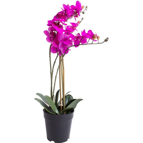 8505455134369 - Kunstorchidee BOTANIC-HAUS Orchidee Bora pink (fuchsia) B35cm H60cm T35cm Ø35cm Kunststoff Kunstpflanzen