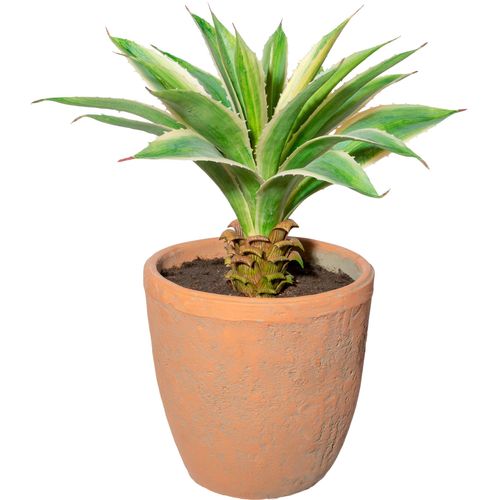 4064118138136 - Künstliche Zimmerpflanze CREATIV GREEN Agave im Terracottatopf Kunstpflanzen Gr H 35 cm 1 St grün Künstliche Zimmerpflanzen