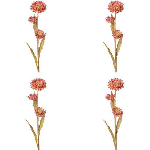 4064118117209 - Kunstblume CREATIV GREEN Strohblume Kunstpflanzen Gr H 61 cm 4 St rosa Kunst-Blumen 4064118117209 - Kunstblume CREATIV GREEN Strohblume Kunstpflanzen Gr H 61 cm 4 St rosa Kunst-Blumen