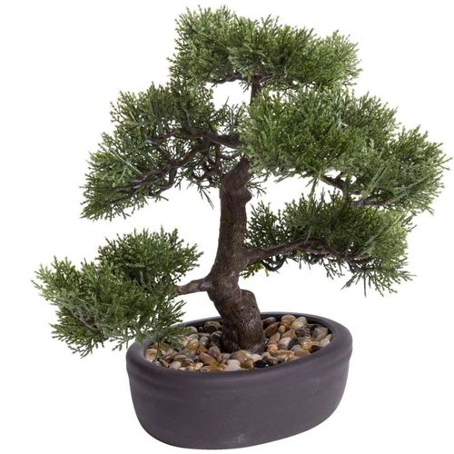 8714344265170 - Kunstbonsai BOTANIC-HAUS Ceder Bonsai grün B32cm H32cm T32cm Ø32cm Kunststoff Kunstpflanzen