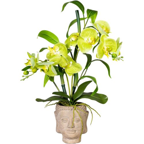 4064118137276 - Kunstorchidee CREATIV GREEN Orchideen-Bambus-Arrangement im Buddhakopf Kunstpflanzen Gr B H L 40 cm x 60 cm x 20 cm 1 St grün Kunst-Orchideen 4064118137276 - Kunstorchidee CREATIV GREEN Orchideen-Bambus-Arrangement im Buddhakopf Kunstpflanzen Gr B H L 40 cm x 60 cm x 20 cm 1 St grün Kunst-Orchideen
