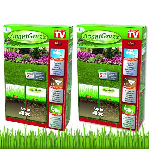 4250416111142 - Best Direct® Rasensamen - Grassamen - Unkrautresistent - Nachsaat Avant Grazz®