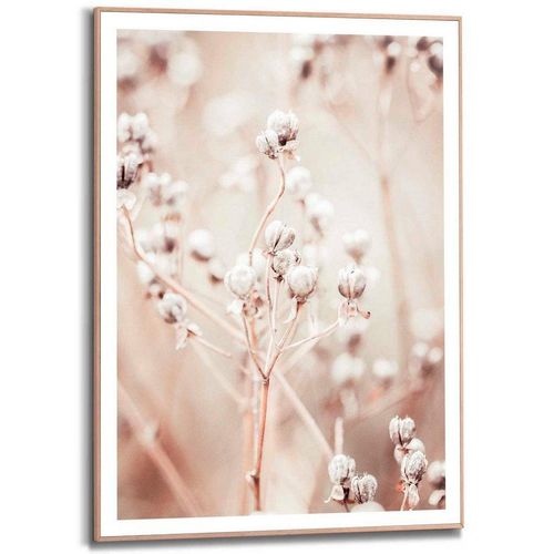 8714597626131 - Bild DRIED WHITES (LBH 50x160x70 cm) LBH 50x160x70 cm bunt Kunstdruck Gemälde Wandbild