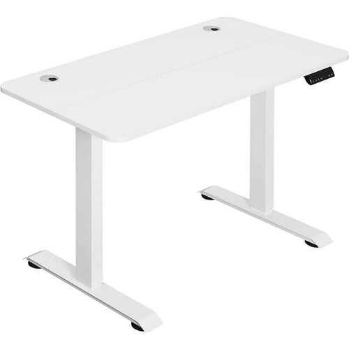 4063425158646 - Woltu - Höhenverstellbar Schreibtisch Elektrisch mit Tischplatte 120 x 60 cm und 4 Memory-Steuerungen Weiß + Weiß Gestell