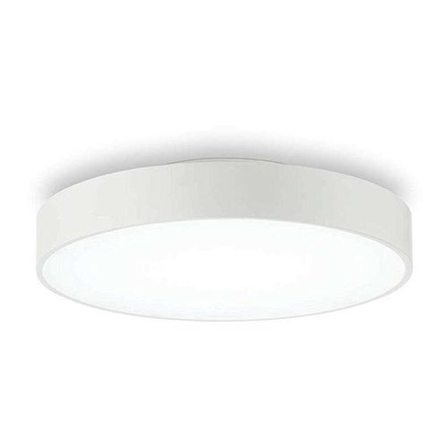 8021696223193 - Halo PL1 D35 4000K Deckenleuchte Ideal Lux