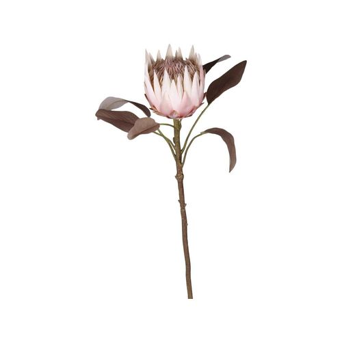 5712750259847 - Chic Antique Fleur Kunstblume Protea H66 cm altrosa