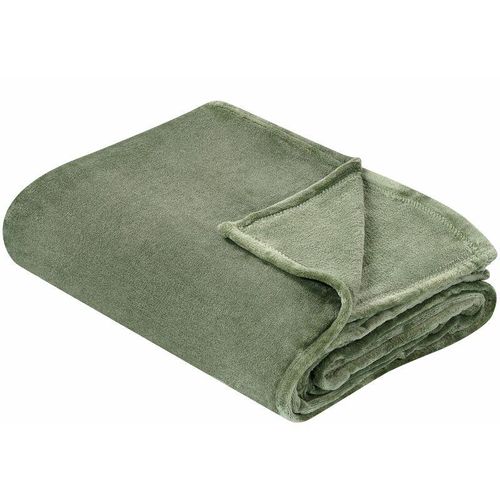 4255664814531 - Kuscheldecke Grün Polyester Stoff 200 x 220 cm Einfarbig Modern Überwurf für Bett Sofa Couch Sessel Erwachsene Kinder Wohnzimmer Schlafzimmer - Grün