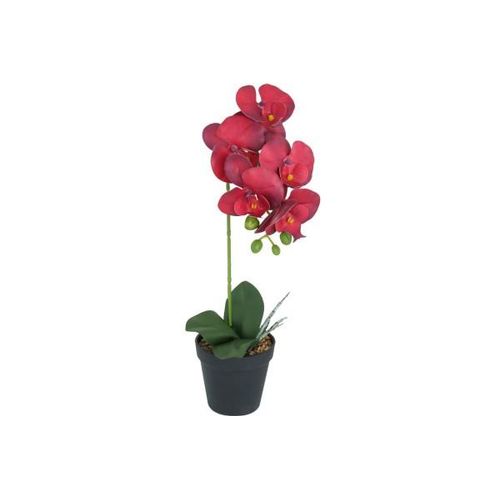 4036812117168 - Design Decoration - Künstliche Orchidee Rubinrot Lila im Topf Höhe 40 cm Kunstblume Pflanze - Rot 4036812117168 - Design Decoration - Künstliche Orchidee Rubinrot Lila im Topf Höhe 40 cm Kunstblume Pflanze - Rot