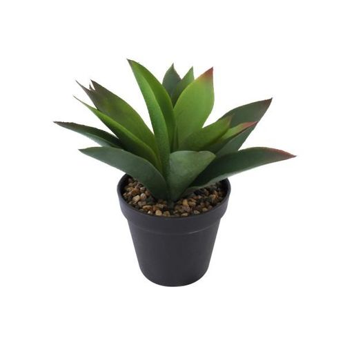 4036812117106 - Design Decoration - Künstliche Aloe Vera im Topf mit Steindeko Höhe 22 cm Pflanze grün - Grün 4036812117106 - Design Decoration - Künstliche Aloe Vera im Topf mit Steindeko Höhe 22 cm Pflanze grün - Grün