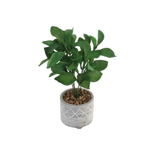 4036812117137 - Design Decoration - Deko Pflanze im Betontopf rund Dreieckmuster mit Steindeko Kunstpflanze - Zementgrau 4036812117137 - Design Decoration - Deko Pflanze im Betontopf rund Dreieckmuster mit Steindeko Kunstpflanze - Zementgrau