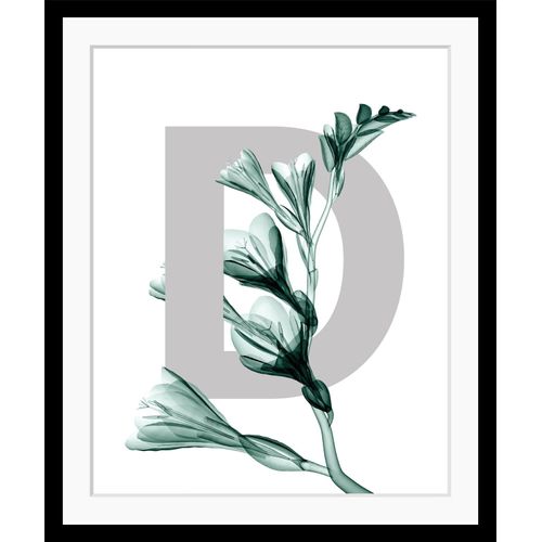 4049009913092 - Bild QUEENCE D-Flower Bilder Gr B H 30 cm x 40 cm Wandbild Buchstaben Hochformat grün (grau dunkelgrün) Kunstdrucke Blume Blätter gerahmt 4049009913092 - Bild QUEENCE D-Flower Bilder Gr B H 30 cm x 40 cm Wandbild Buchstaben Hochformat grün (grau dunkelgrün) Kunstdrucke Blume Blätter gerahmt