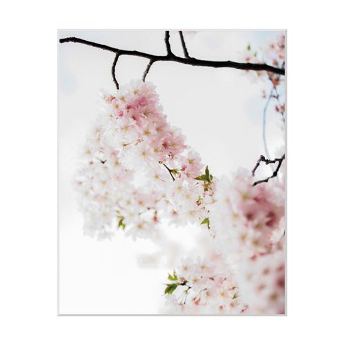 4049009897866 - Bild QUEENCE Lilly Bilder Gr B H 30 cm x 40 cm Wandbild Blumen Hochformat rosa (rosa weiß) Kunstdrucke Blumen gerahmt