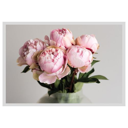 4049009914068 - Bild QUEENCE Gudrun Bilder Gr B H 50 cm x 40 cm Wandbild Blumen Querformat rosa (weiß) Kunstdrucke gerahmt Rosen