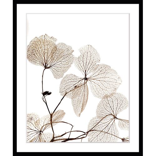 4049009897453 - Bild QUEENCE Ina Bilder Gr B H 30 cm x 40 cm Wandbild Blumen Hochformat beige (schwarz) Kunstdrucke Blumen gerahmt