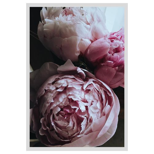 4049009896357 - Bild QUEENCE Ursula Bilder Gr B H 40 cm x 50 cm Wandbild Blumen Hochformat rosa (rosa weiß) Kunstdrucke Rosen gerahmt