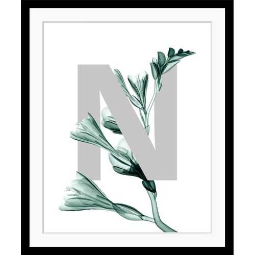 4049009901587 - Bild QUEENCE N-Flower Bilder Gr B H 30 cm x 40 cm Wandbild Buchstaben Hochformat grau (dunkelgrün grau) Kunstdrucke Blätter Blume gerahmt 4049009901587 - Bild QUEENCE N-Flower Bilder Gr B H 30 cm x 40 cm Wandbild Buchstaben Hochformat grau (dunkelgrün grau) Kunstdrucke Blätter Blume gerahmt