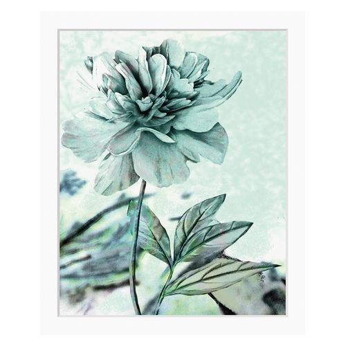 4049009900108 - Bild QUEENCE Christel Bilder Gr B H 30 cm x 40 cm Wandbild Blumen Hochformat blau (blau grau) Kunstdrucke gerahmt Rose 4049009900108 - Bild QUEENCE Christel Bilder Gr B H 30 cm x 40 cm Wandbild Blumen Hochformat blau (blau grau) Kunstdrucke gerahmt Rose