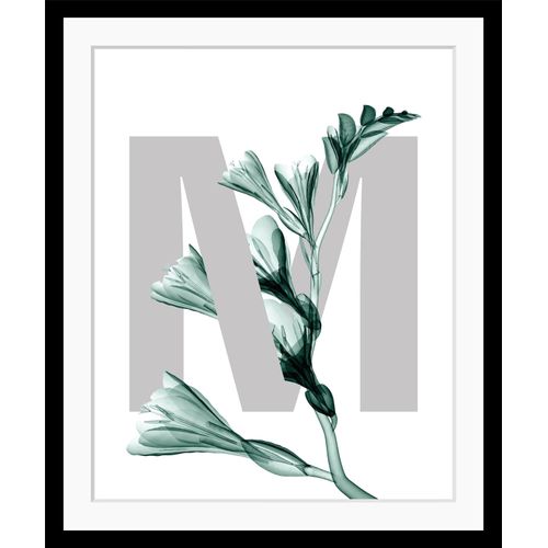 4049009913276 - Bild QUEENCE M-Flower Bilder Gr B H 30 cm x 40 cm Wandbild Buchstaben Hochformat grün (grau dunkelgrün) Kunstdrucke Blume gerahmt Blätter 4049009913276 - Bild QUEENCE M-Flower Bilder Gr B H 30 cm x 40 cm Wandbild Buchstaben Hochformat grün (grau dunkelgrün) Kunstdrucke Blume gerahmt Blätter
