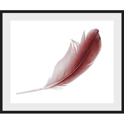 4049009915560 - Bild QUEENCE Muriel Bilder Gr B H 50 cm x 40 cm Wandbild Federn Querformat rot (schwarz) Kunstdrucke gerahmt Federn