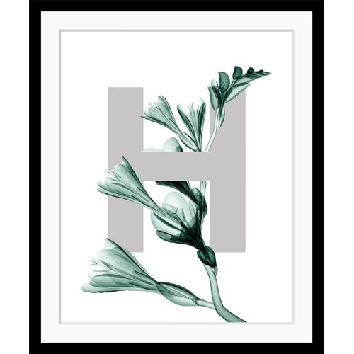 4049009900535 - Bild QUEENCE H-Flower Bilder Gr B H 40 cm x 50 cm Wandbild Buchstaben Hochformat grau (dunkelgrün grau) Kunstdrucke Blätter gerahmt Blume