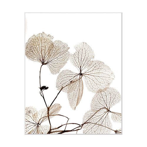 4049009897538 - Bild QUEENCE Ina Bilder Gr B H 30 cm x 40 cm Wandbild Blumen Hochformat beige (weiß) Kunstdrucke Blumen gerahmt