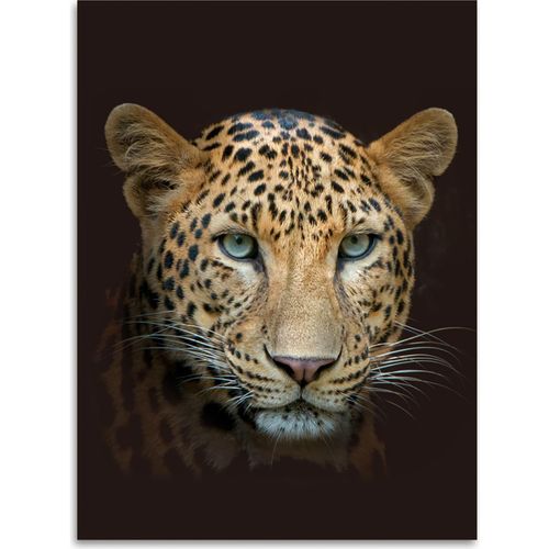 4024008097707 - Digitalbedruckte Wohndecke Leopard 150 x 200 cm