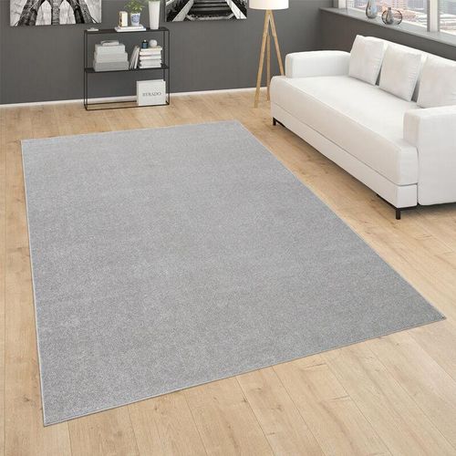 4061981125447 - Teppich Für Wohnzimmer Einfarbig Kurzflor Schlicht Und Modern In Silber 80x150 cm - Paco Home