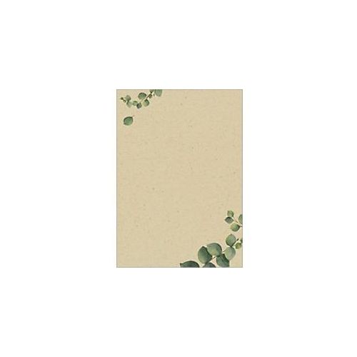 4004360785436 - Eucalyptus Briefpapier Braun 100 Blatt