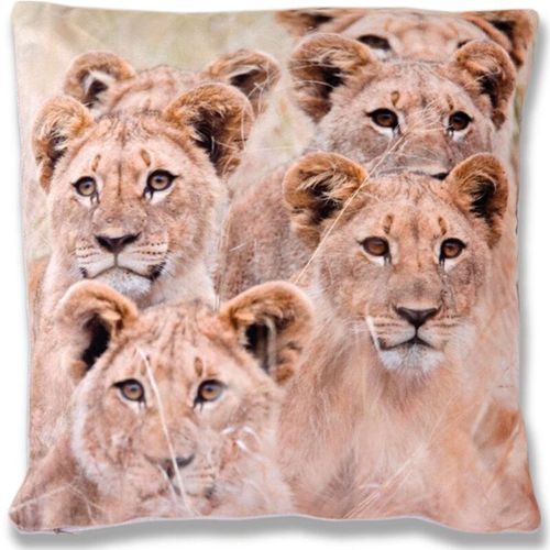 4035179108826 - Bestlivings - Kissenbezug Fotodruck Motiv in 40x40 cm Flauschig weiche Kissen-Hülle in vielen Motiven erhältlich ( Design Löwen ) - Löwen