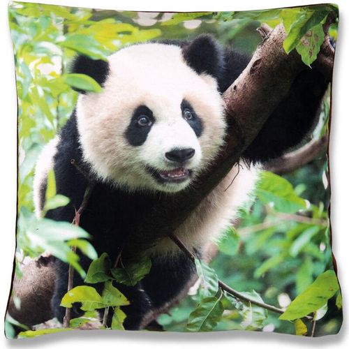 4035179108871 - Bestlivings - Kissenbezug Fotodruck Motiv in 40x40 cm Flauschig weiche Kissen-Hülle in vielen Motiven erhältlich ( Design Panda ) - Panda