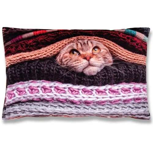 4035179108918 - Bestlivings - Kissenbezug mit Fotodruck ca 40x60cm Flauschig weich in weiteren Motiven verfügbar ( Design katze ) - Katze