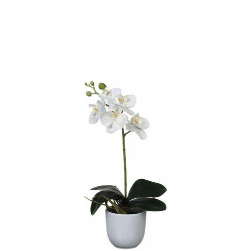 8712799475649 - - Mica Kunstpflanze Phalaenopsis im Topf weiß 48 x13 cm Kunstpflanzen