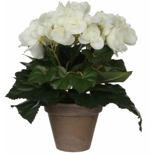 8712293770080 - - Mica Begonia im Topf weiß 25 x 20 cm Kunstpflanzen