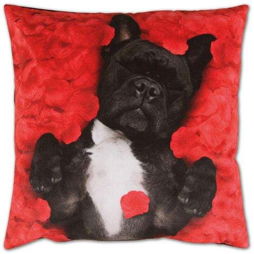 4059222215569 - Bestlivings - Dekokissen Fotodruck Motiv in 40x40 cm Flauschig weiches Kissen in vielen Motiven erhältlich ( Design Hund ) - Hund