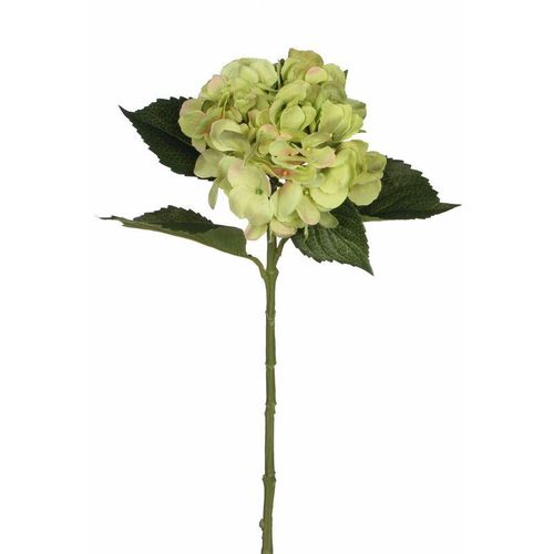 8718861109504 - - Mica künstliche Hortensie grün 51 cm Kunstpflanzen