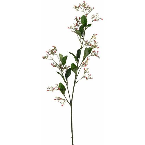 8712293261540 - - Mica künstliche Escallonia rosa 77 cm Kunstpflanzen