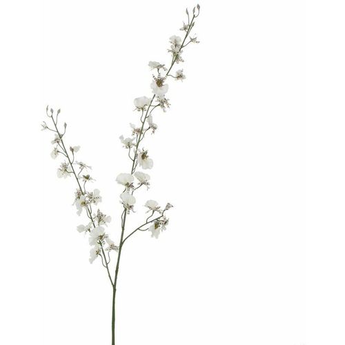 8712293112613 - - Mica künstliche Oncidium creme 78 cm Kunstpflanzen