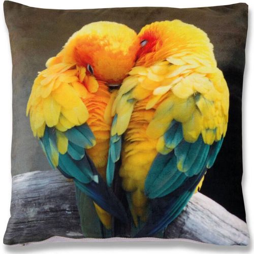 4251028127279 - Bestlivings - Dekokissen Fotodruck Motiv in 40x40 cm Flauschig weiches Kissen in vielen Motiven erhältlich ( Design Sittiche ) - Sittiche