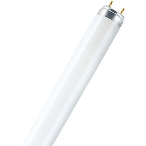 4050300003238 - Leuchtstoffröhre fluora - T8 77 Fluora - 30W (895mm) - Osram