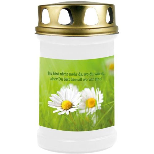 4059222042127 - Hs Candle - Grabkerze Grablicht ( Gänseblümchen ) - ca 48h   2 Tage Brenndauer je Kerze ( 145cm ø 7cm ) - versch Designs - Gänseblümchen