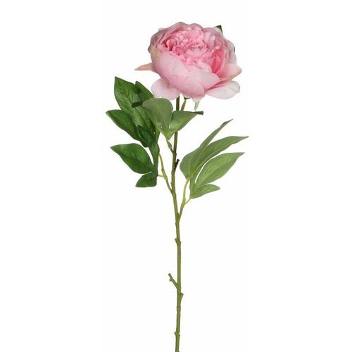 8718861157550 - Mica künstliche Pfingstrose rosa 76 cm Deko Pflanze Einzelblume