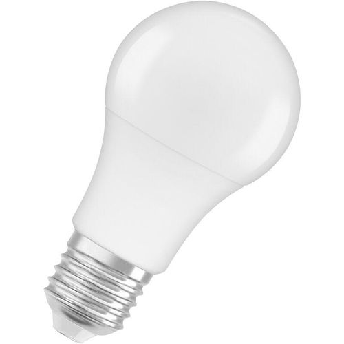 4058075757622 - Star+ LED-Lampe mit Niedervolt für E27-Sockel matte Optik Kaltweiß (4000K) 940 Lumen Ersatz für herkömmliche 65W-Leuchtmittel nicht dimmbar