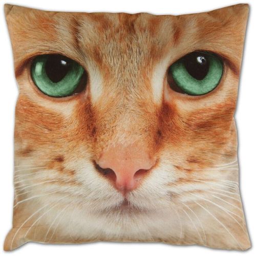 4059222215583 - Dekokissen Fotodruck Motiv in 40x40 cm Flauschig weiches Kissen in vielen Motiven erhältlich ( Design Katze Beige ) - Katze beige